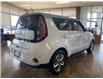 2017 Kia Soul EV EV Luxury (Stk: 38904JA) in Belleville - Image 7 of 34
