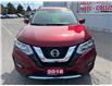 2018 Nissan Rogue SL (Stk: CPW184058A) in Cobourg - Image 8 of 15