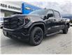 2022 GMC Sierra 1500 Elevation (Stk: N22331) in Squamish - Image 3 of 27