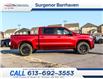 2023 Chevrolet Silverado 1500 RST (Stk: 230256) in Ottawa - Image 3 of 20