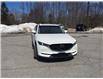 2019 Mazda CX-5 GS (Stk: P10104) in Barrie - Image 3 of 43