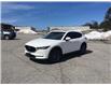 2019 Mazda CX-5 GS (Stk: P10104) in Barrie - Image 7 of 43