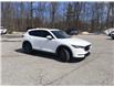 2019 Mazda CX-5 GS (Stk: P10104) in Barrie - Image 24 of 43