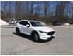 2019 Mazda CX-5 GS (Stk: P10104) in Barrie - Image 25 of 43