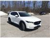 2019 Mazda CX-5 GS (Stk: P10104) in Barrie - Image 42 of 43