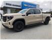 2023 GMC Sierra 1500 Elevation (Stk: N23118) in Squamish - Image 2 of 30