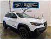 2023 Jeep Cherokee Trailhawk (Stk: 4323) in Indian Head - Image 2 of 56