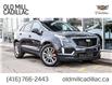 2023 Cadillac XT5 Sport (Stk: PZ189932) in Toronto - Image 1 of 33