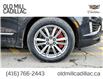 2023 Cadillac XT5 Sport (Stk: PZ189932) in Toronto - Image 6 of 33
