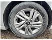 2020 Hyundai Elantra Preferred w/Sun & Safety Package (Stk: CNW495351A) in Cobourg - Image 9 of 15