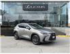 2023 Lexus NX 250  (Stk: 14104242) in Markham - Image 1 of 13