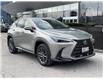 2023 Lexus NX 250  (Stk: 14104242) in Markham - Image 6 of 13