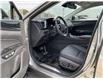 2023 Lexus NX 250  (Stk: 14104242) in Markham - Image 10 of 13