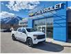 2023 Chevrolet Silverado 1500 Custom (Stk: PZ195643) in Fernie - Image 1 of 10