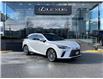 2023 Lexus RX 350 Base (Stk: 14104080) in Markham - Image 1 of 14