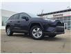 2023 Toyota RAV4 XLE (Stk: ORDER11868630) in Edmonton - Image 1 of 31