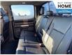 2020 Ford F-150  (Stk: F51C58) in Roblin - Image 6 of 25