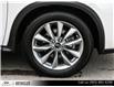 2021 Infiniti QX50 Pure (Stk: N3432A) in Thornhill - Image 8 of 28