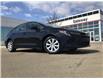 2023 Toyota Corolla LE (Stk: ORDER11889847) in Edmonton - Image 1 of 25