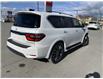 2023 Nissan Armada Platinum (Stk: 23AR5360) in Cranbrook - Image 3 of 17