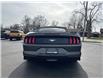 2019 Ford Mustang EcoBoost (Stk: 22208A) in Amherstburg - Image 4 of 17