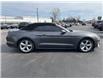 2019 Ford Mustang EcoBoost (Stk: 22208A) in Amherstburg - Image 6 of 17