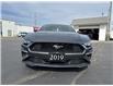 2019 Ford Mustang EcoBoost (Stk: 22208A) in Amherstburg - Image 8 of 17