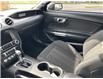 2019 Ford Mustang EcoBoost (Stk: 22208A) in Amherstburg - Image 12 of 17
