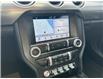 2019 Ford Mustang EcoBoost (Stk: 22208A) in Amherstburg - Image 15 of 17