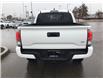 2023 Toyota Tacoma Base (Stk: ORDER11812480) in Edmonton - Image 6 of 33
