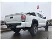 2023 Toyota Tacoma Base (Stk: ORDER11812480) in Edmonton - Image 7 of 33