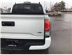 2023 Toyota Tacoma Base (Stk: ORDER11812480) in Edmonton - Image 15 of 33