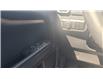 2023 Ford Bronco Sport Outer Banks (Stk: 023031) in Madoc - Image 23 of 26