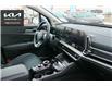 2023 Kia Sportage Hybrid EX (Stk: U14729) in Regina - Image 16 of 42