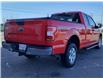 2020 Ford F-150 XL (Stk: P1138A) in Campbell River - Image 5 of 30