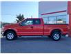 2020 Ford F-150 XL (Stk: P1138A) in Campbell River - Image 9 of 30