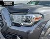 2021 Toyota Tacoma Base (Stk: P7497) in Sault Ste. Marie - Image 21 of 23