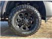 2023 RAM 2500 Power Wagon (Stk: F234112) in Lacombe - Image 9 of 14