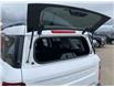 2022 Ford Bronco Sport Big Bend (Stk: NBR028) in Fort Saskatchewan - Image 14 of 30