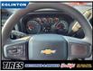 2023 Chevrolet Silverado 1500 Work Truck (Stk: PZ169910) in Mississauga - Image 19 of 19