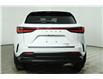 2024 Lexus NX 350  (Stk: 14104811) in Markham - Image 6 of 30