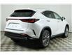 2024 Lexus NX 350  (Stk: 14104811) in Markham - Image 7 of 30