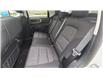 2023 Ford Bronco Sport Big Bend (Stk: 023039) in Madoc - Image 11 of 24