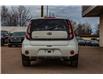 2019 Kia Soul EX+ (Stk: P0552) in Petawawa - Image 5 of 19