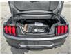 2023 Ford Mustang GT Premium (Stk: C3209) in St. Thomas - Image 12 of 25