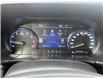 2023 Ford Bronco Sport Outer Banks Blue