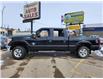 2016 Ford F-250 XLT (Stk: P39292C) in Saskatoon - Image 2 of 21