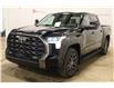 2023 Toyota Tundra Platinum (Stk: 4369) in Yorkton - Image 14 of 20