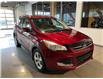 2015 Ford Escape Titanium (Stk: 1013C) in Québec - Image 5 of 20