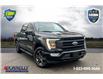 2021 Ford F-150 Lariat (Stk: DX150A) in Ottawa - Image 1 of 20